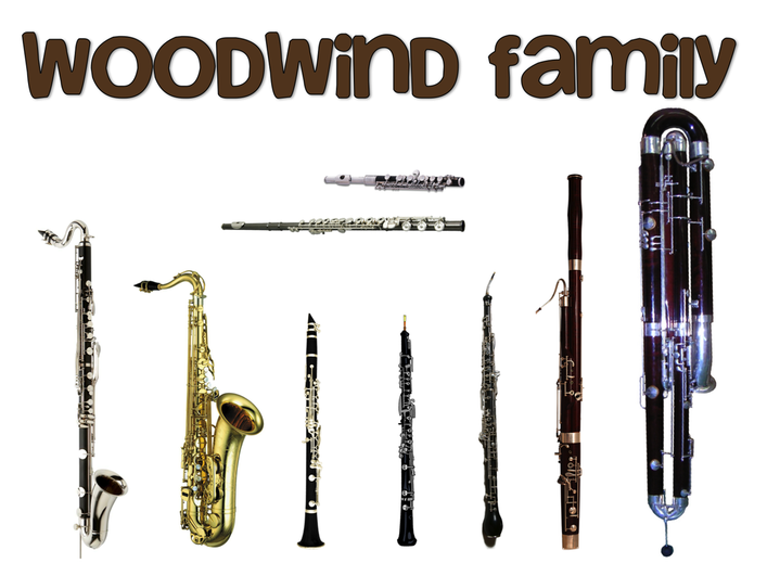 Orchestra Instrument Families: Strings, Woodwinds, Brass